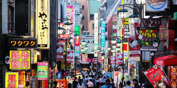 西口区文化冲突实录！2026年最新探店报告