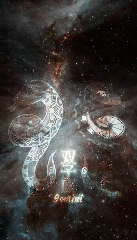 哪个星座最具有大局观，总是把集体利益放在首位呢？