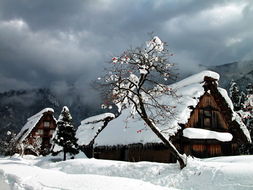 冬季杭州， 西湖的雪景如诗如画