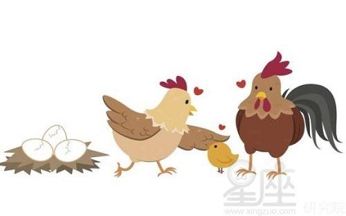 属鸡的性格解析：既要美味又要营养成分的