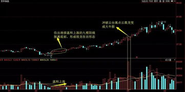 马年本命年必死无疑