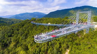 梧桐山：登较高望远， 俯瞰较深圳全貌