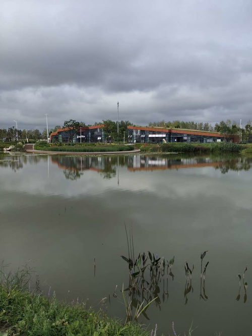 环湖一圈1小时？骗鬼呢！