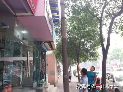 院外东南角电线杆影响风水吗？如何改善？