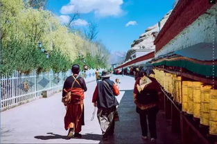 一、昆明：春城的