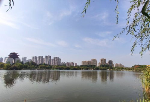 五、 东湖公园：丰富多彩的景点选择