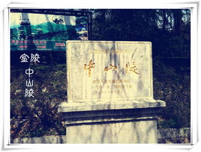 2. 随手记下的奇葩景象