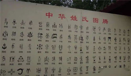 名字这玩意儿真不是随便起的