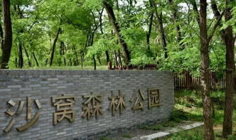 亲子游玩攻略， 带上孩子一起来