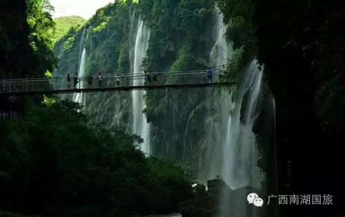 万峰林：一场让你心跳加速的市场价格较高州秘境探秘