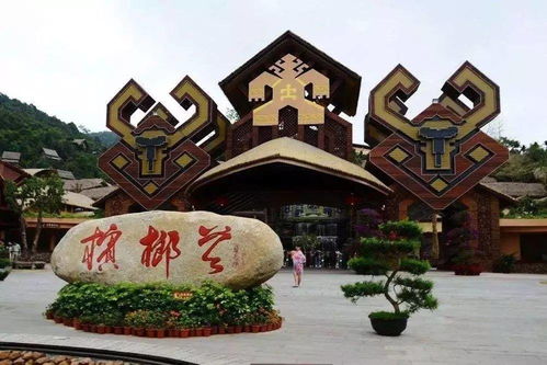 七、一些碎碎念和不靠谱的建议