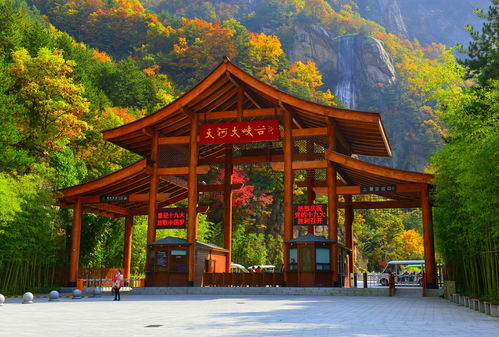 月山寺：说好的