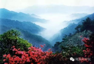 卧槽！这里的寺庙也太灵了吧！！！