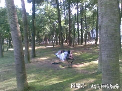 树影斑驳中，隐藏着多少不为人知的秘密？