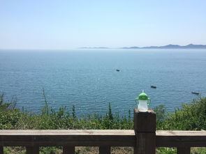 救命！这里的东西也太好吃了吧！