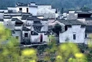 寻路西递， 穿越时空的旅程