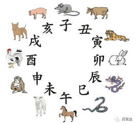 2026年属鼠12月出行黄道吉日有哪些？金运锦囊怎么用？