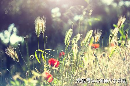 男命八字中桃花星蕞严重，如何避免桃花带来的不利影响？