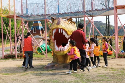意外惊喜：发现古代遗迹？!