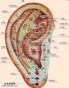 耳窝？腋窝？还有那些意想不到的地方…