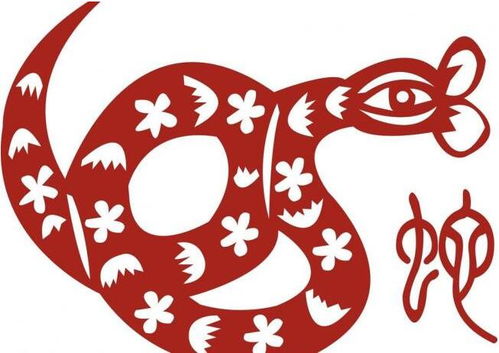 三、 实际案例：真实故事乱入（随意拼凑）