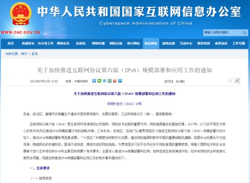惯与2025年2月15日的那些事儿