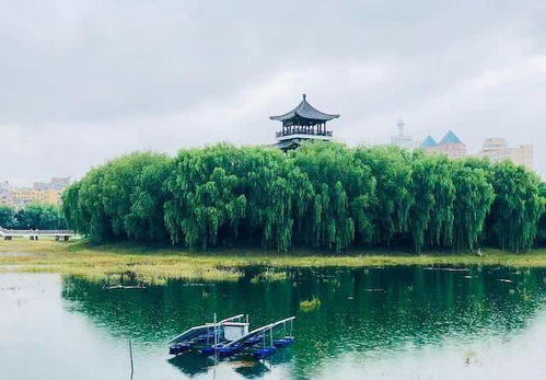 那里的导游讲得好不好听啊？