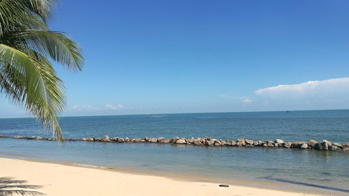 湖光岩：绿得发慌的