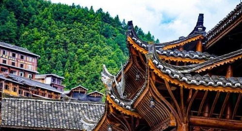 博物馆之旅：探索历史持续发展与文化底蕴的宝库