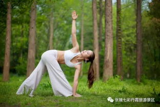 一、 先说点儿乱七八糟的前言——别问我怎么想的