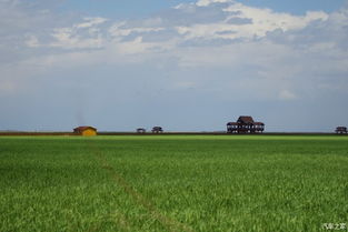 辽河口一日游：最佳选择
