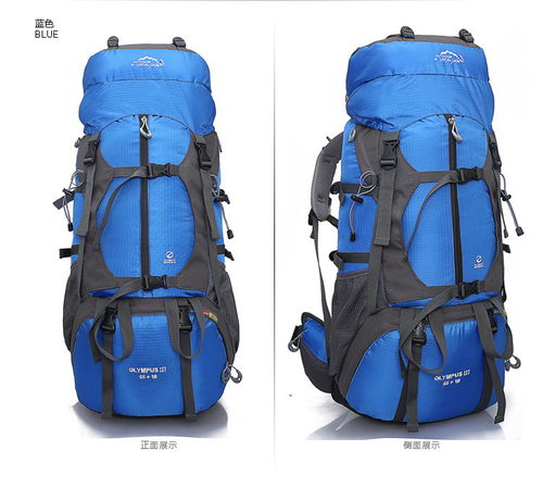 王阿姨的逆袭之旅