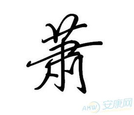 萧姓女孩名字免费起名服务——乱七八糟的精选推荐