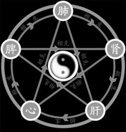杨培旭这个名字的五行属什么，能否根据五行原理进行姓名改写？