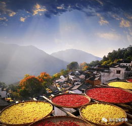 惯与逃离人群的心理建设与胡思乱想