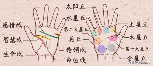身上肉跳是吉是凶，手肉跳动预示着什么吉凶？