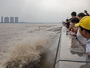 大潮势如水墙,大潮势如水墙