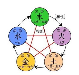 四、 五行相生相克——随机抽取法则（越烂越好）