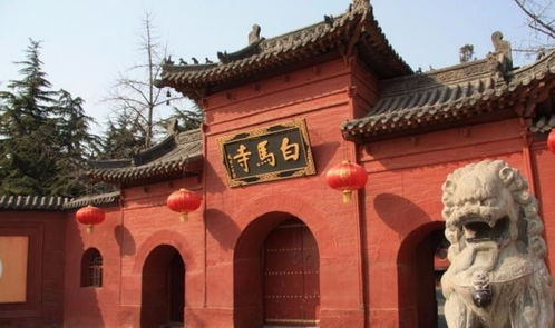 惯与海幢寺的那些碎碎念
