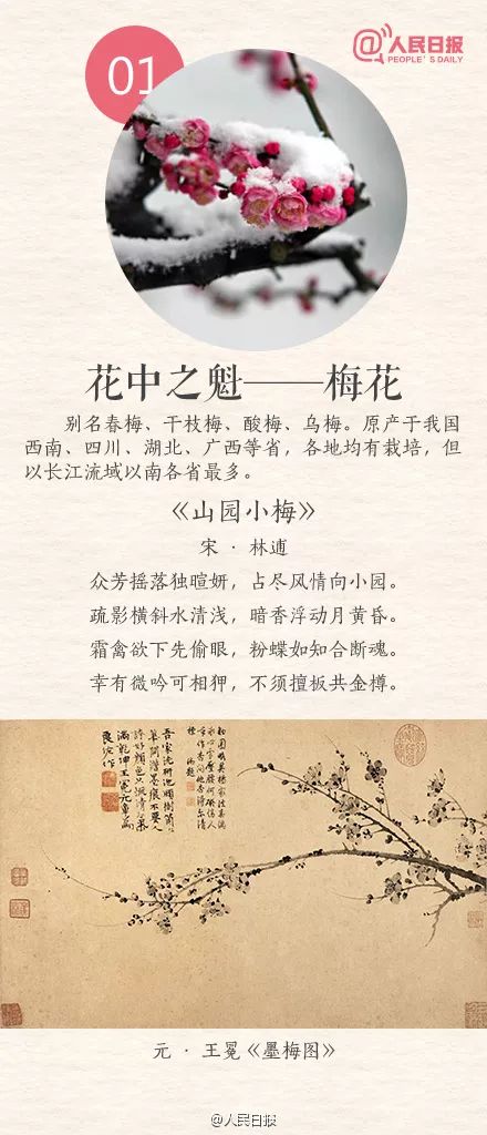 1. 梅花：傲雪斗霜的象征