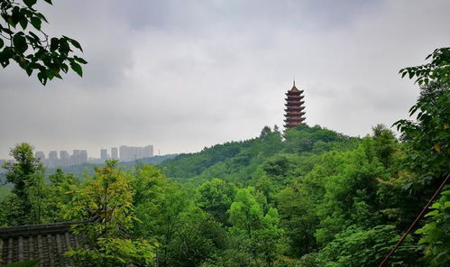交通攻略：说好的一小时直达都是骗人的！