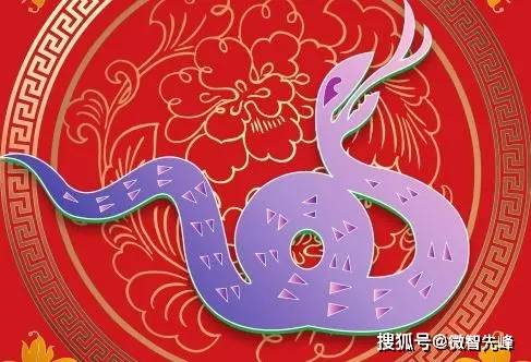 蛇行天下 命运盘算：2012年，金蛇与水象的碰撞