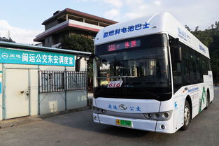 到达福鼎市区：公交车是你的良好朋友