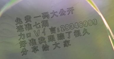 二零九年和零八年分别是什么生肖？