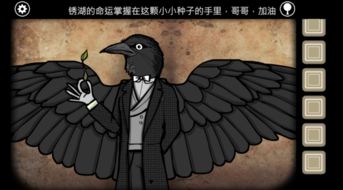生肖与命运的关联