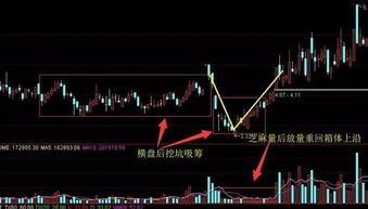 十二生属性与市场环境情绪的奇妙关联