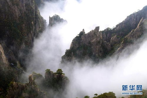 1. 云海：缥缈如仙境 (如guo天气好)