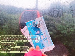 二、 量身定制，打造专属你的旅行计划