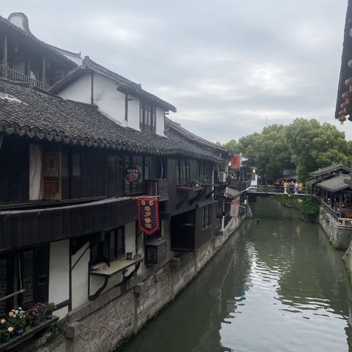 古镇游？呵呵，你确定不是去参加人肉罐头派对？