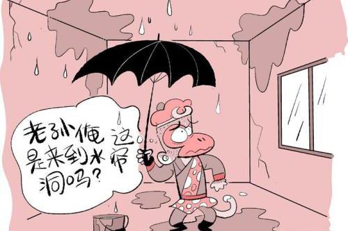 梦见房子地面为什么会漏水呢？
